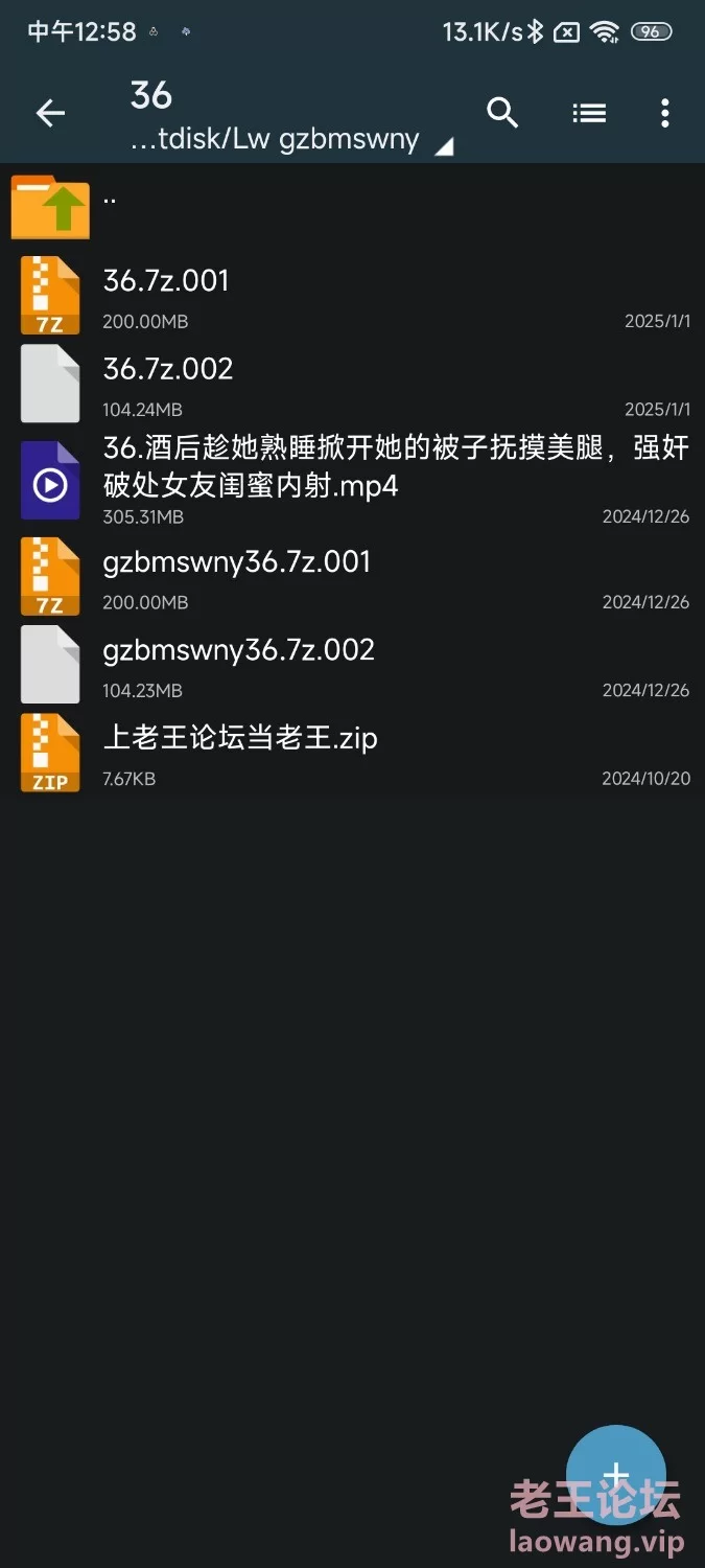 Screenshot_2025-01-01-12-59-01-473_com.fileunzip.zxwknight.jpg